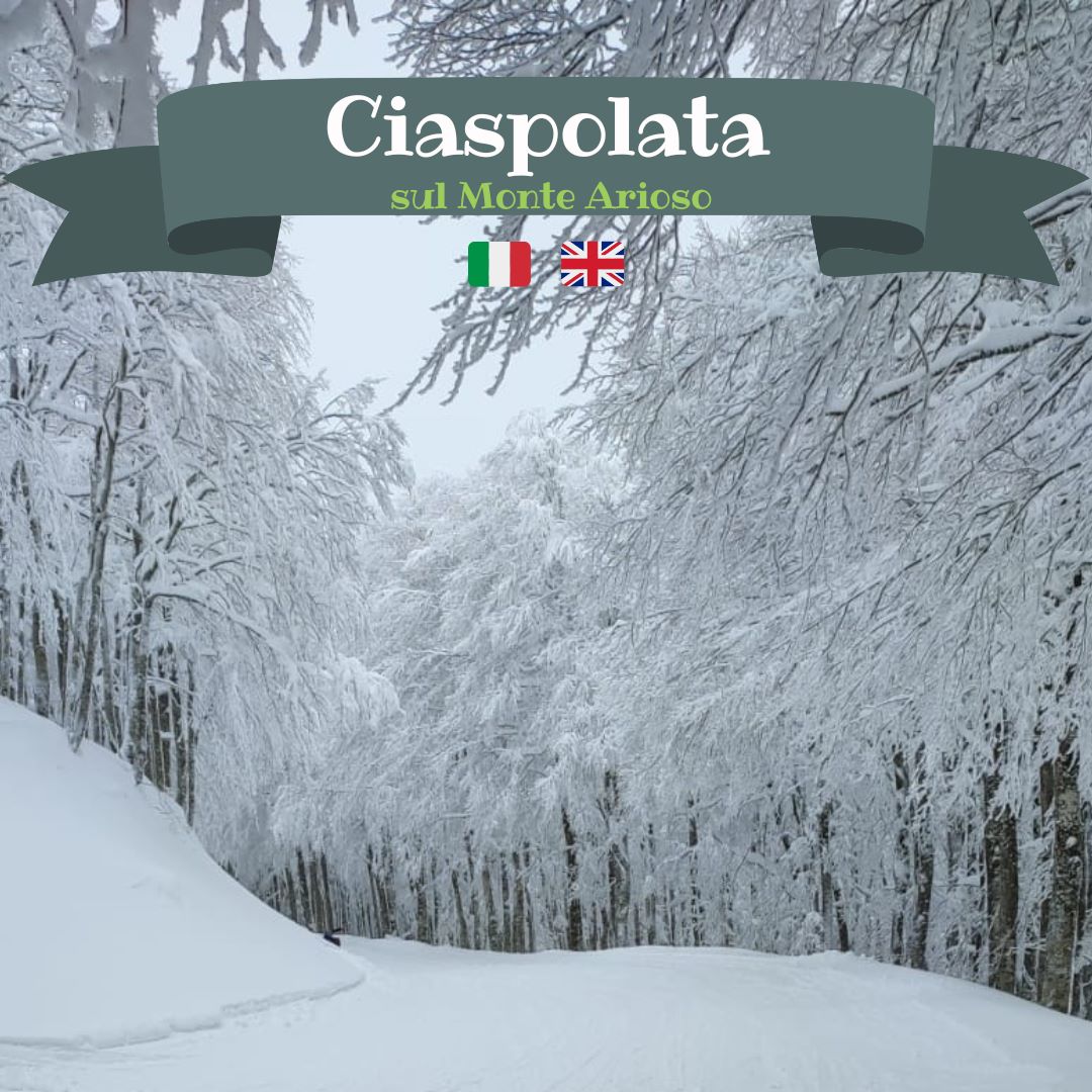 Ciaspolata sul Monte Arioso