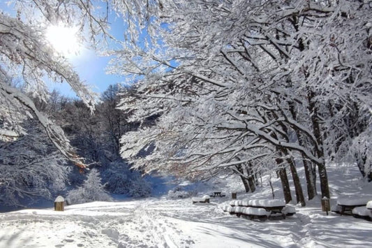 Capodanno in Basilicata: Un'Esperienza Indimenticabile