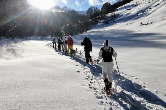 Capodanno in Basilicata: Ciaspolate e Sapori Locali