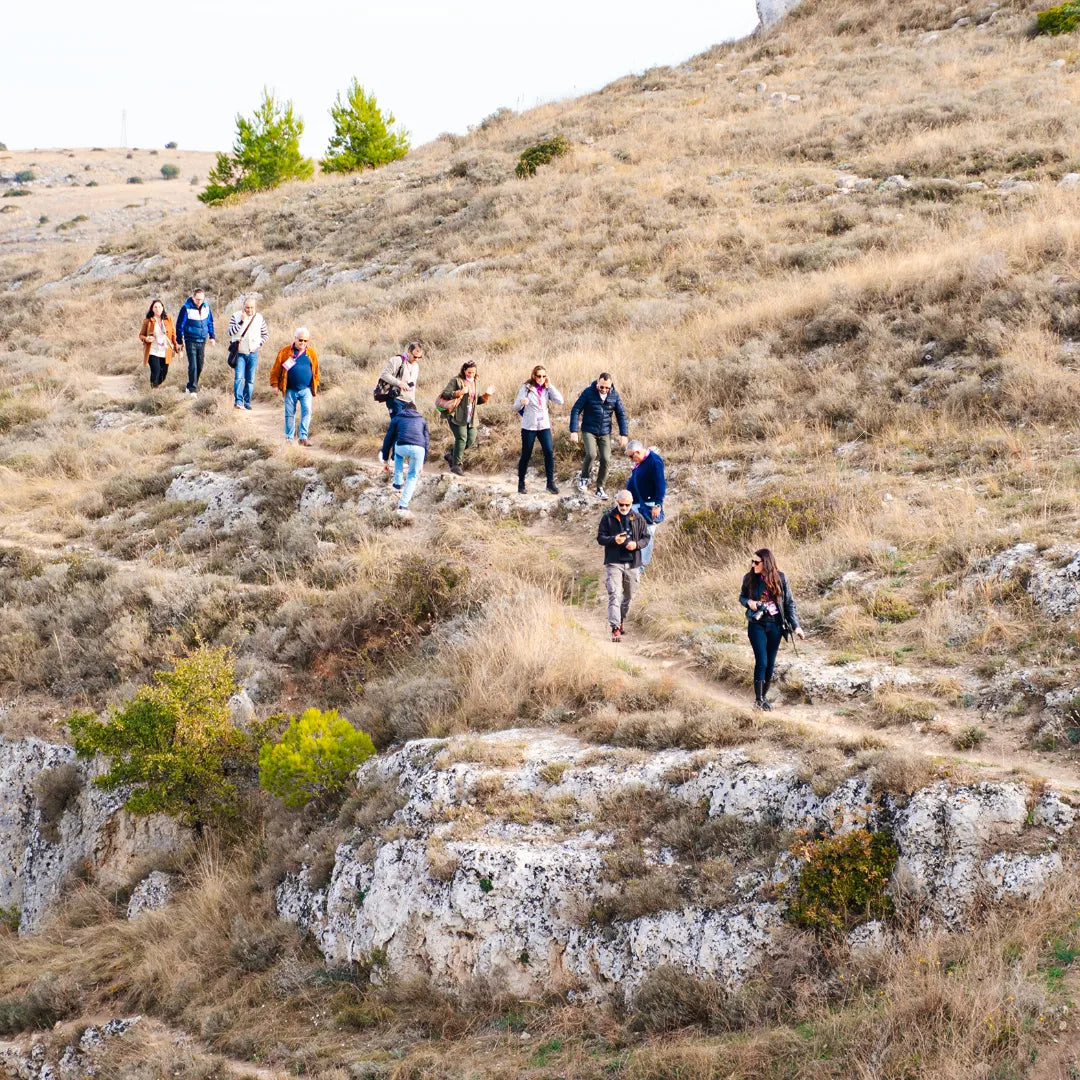 Tour Parco della Murgia Materana con Murgia Timone e Belvedere