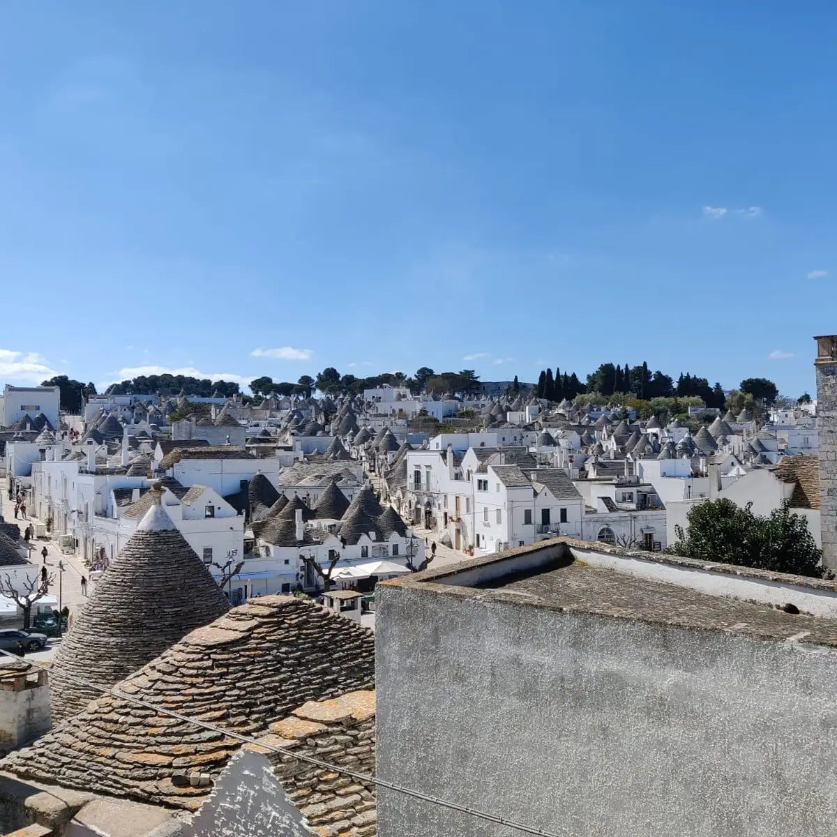 Escursione da Matera a Polignano, Alberobello e Locorotondo