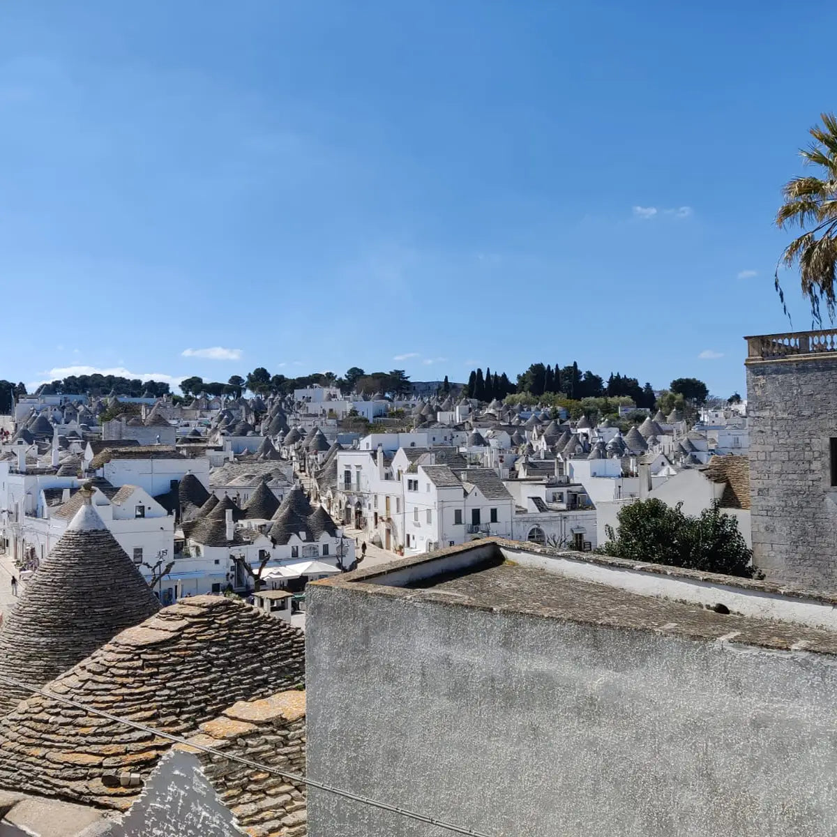 Tour guidato dei trulli di Alberobello tra rioni storici e UNESCO