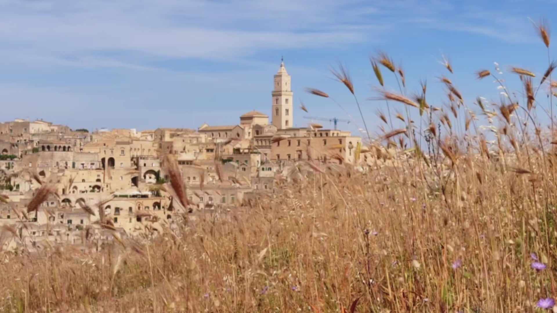 Carica il video: 