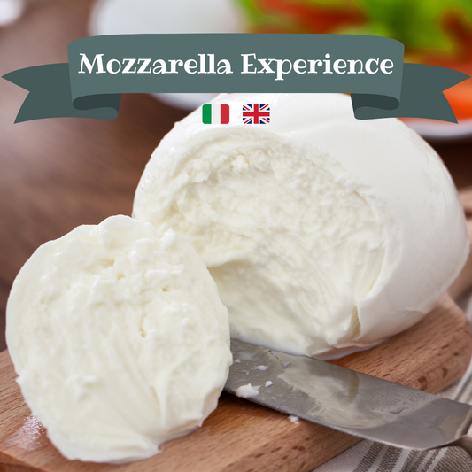 Mozzarella Experience
