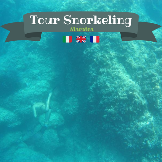 Tour Snorkeling a Maratea